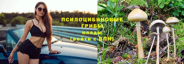 амф Абаза