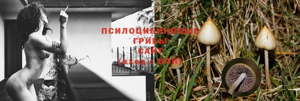 ПСИЛОЦИБИНОВЫЕ ГРИБЫ Абдулино