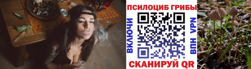 Псилоцибиновые грибы GOLDEN TEACHER  Почеп 